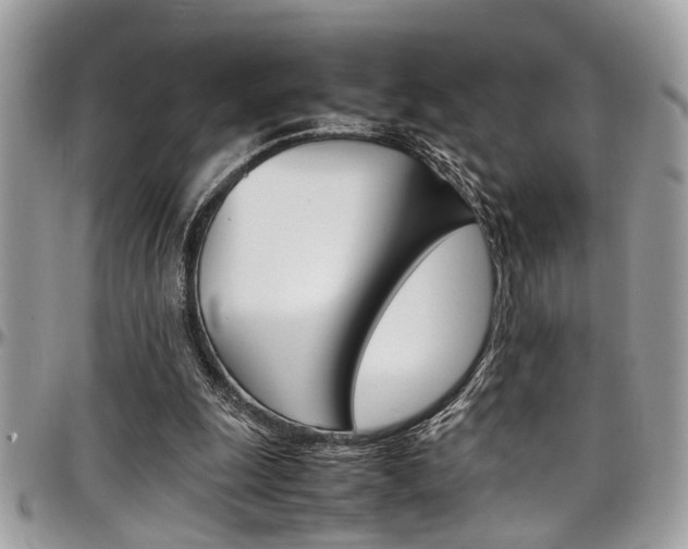 X0000097980247200803241048
