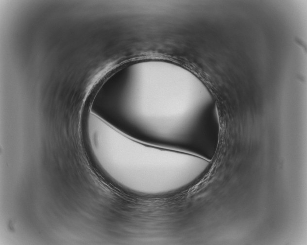 X0000097980248200803241048