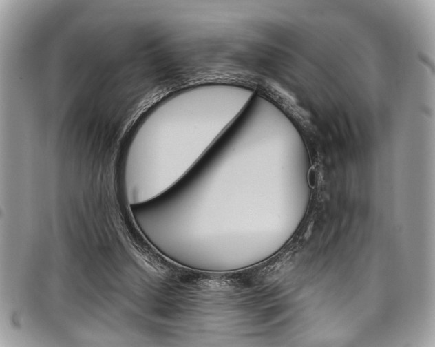 X0000097980250200803241048