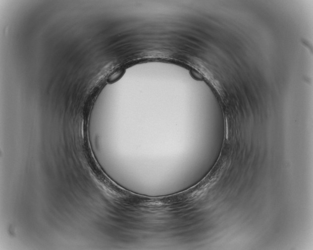 X0000097980253200803241048
