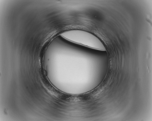 X0000097980254200803241048