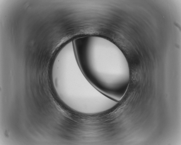 X0000097980256200803241048