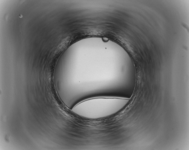 X0000097980257200803241048