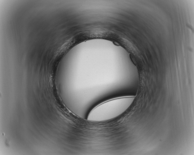 X0000097980258200803241048
