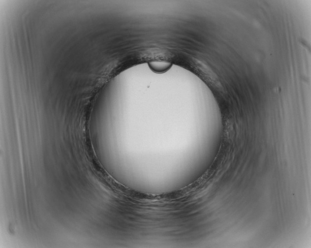 X0000097980259200803241048