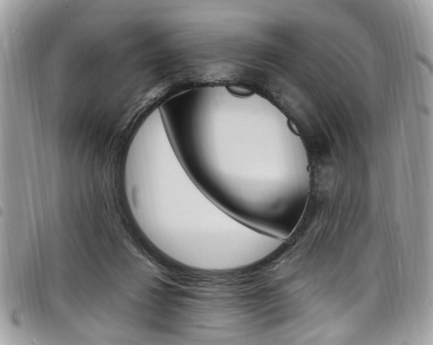 X0000097980260200803241048