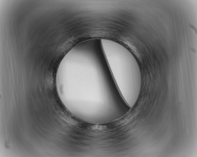 X0000097980261200803241048