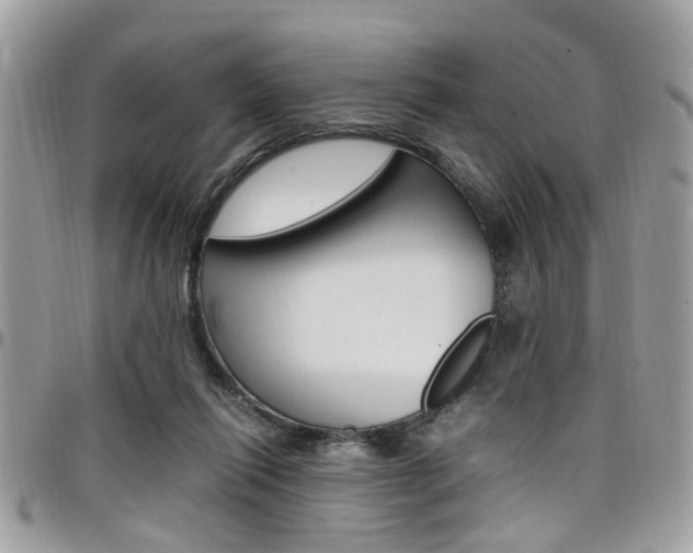 X0000097980262200803241048