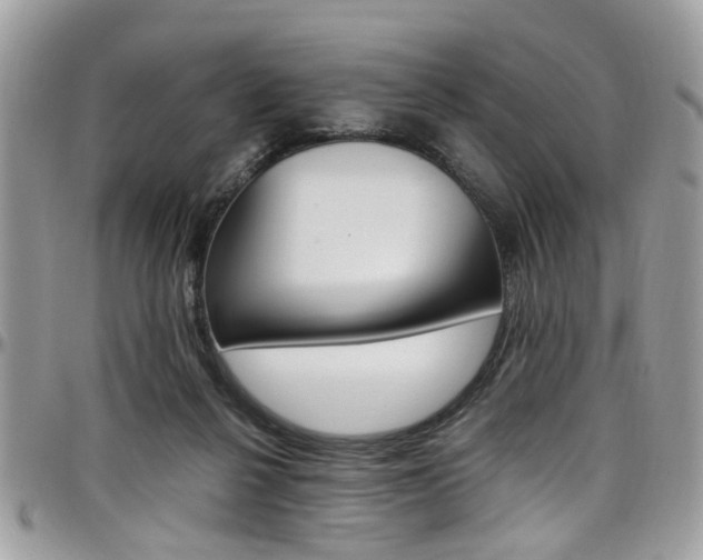 X0000097980264200803241048