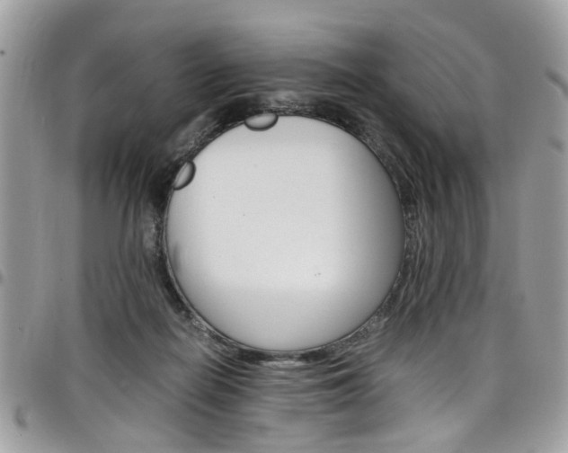 X0000097980266200803241048