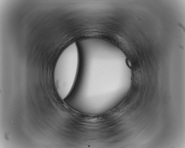 X0000097980267200803241048