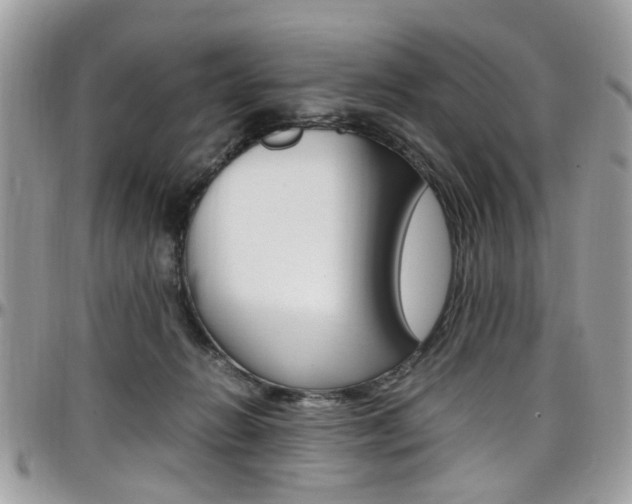 X0000097980270200803241048