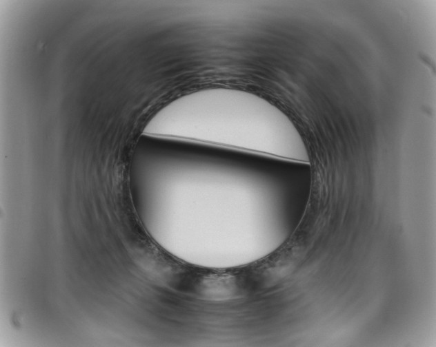 X0000097980271200803241048