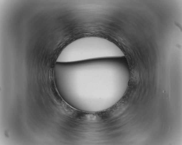 X0000097980272200803241048