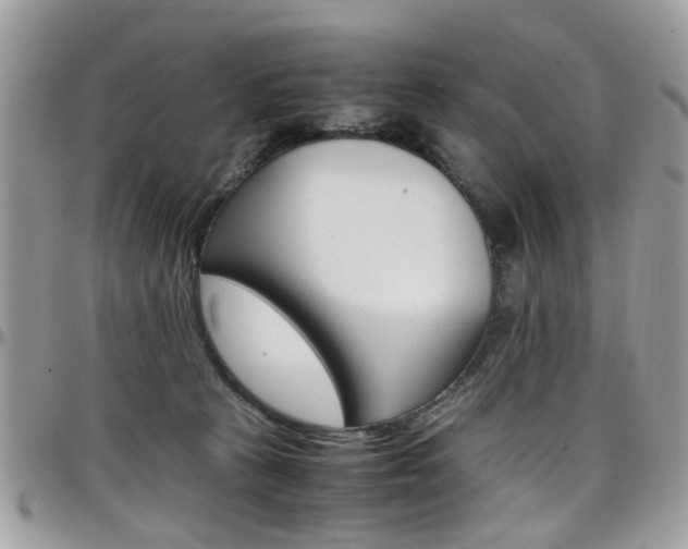 X0000097980273200803241048
