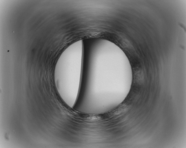 X0000097980274200803241048