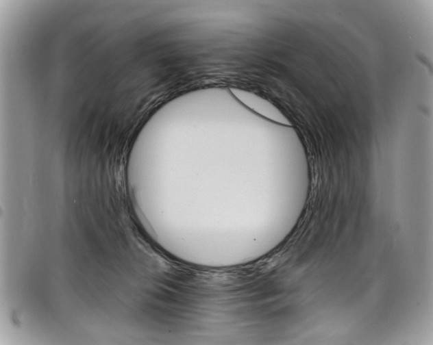 X0000097980276200803241048