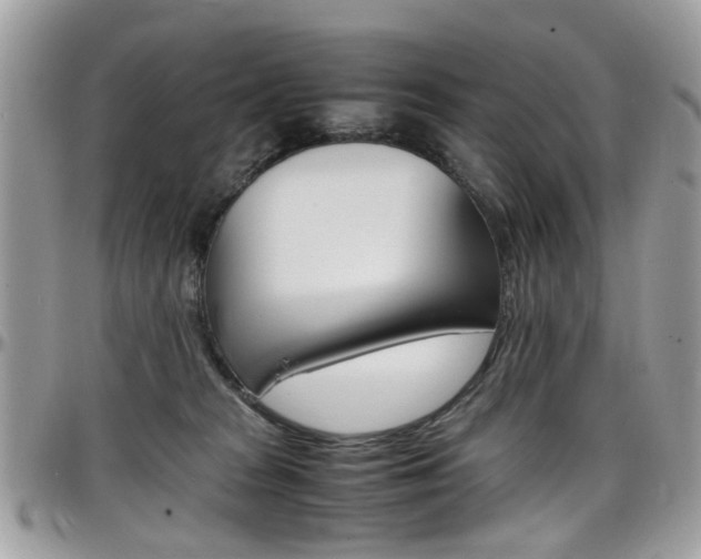 X0000097980277200803241048