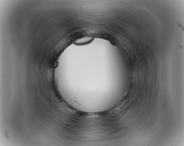 X0000097980278200803241048