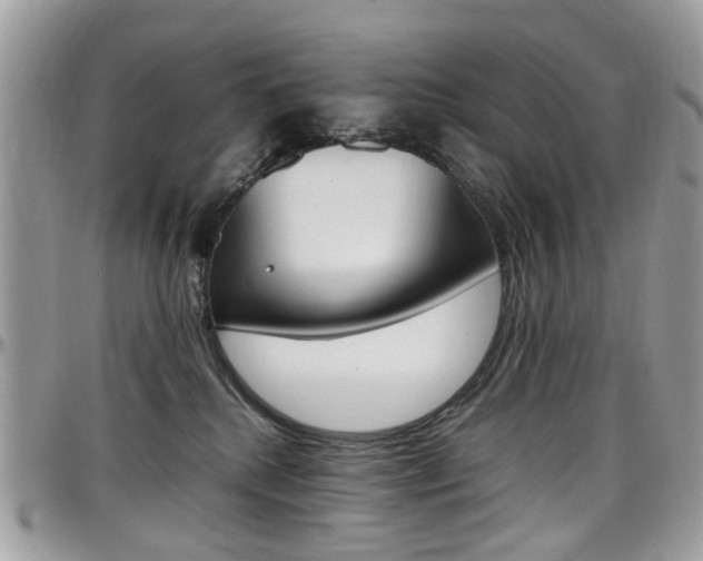 X0000097980280200803241048