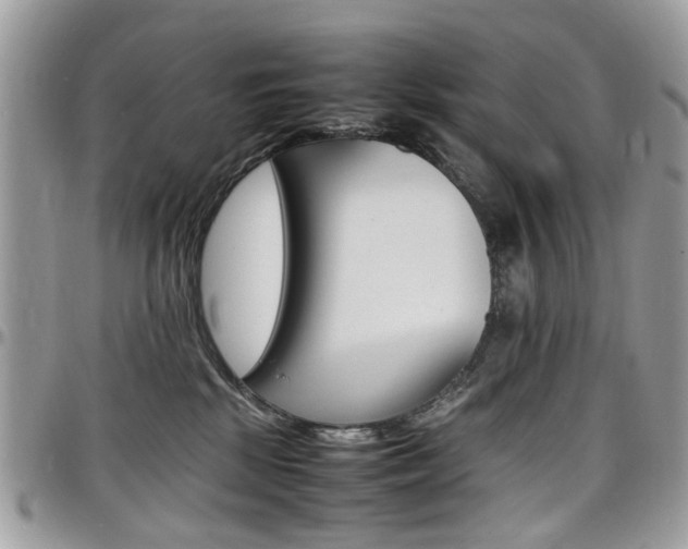 X0000097980281200803241048