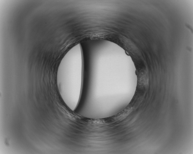 X0000097980282200803241048