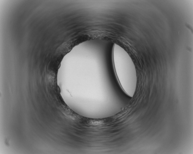 X0000097980283200803241048