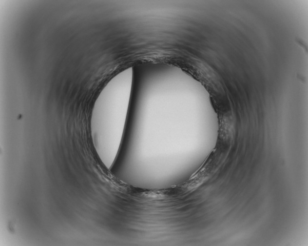 X0000097980284200803241048