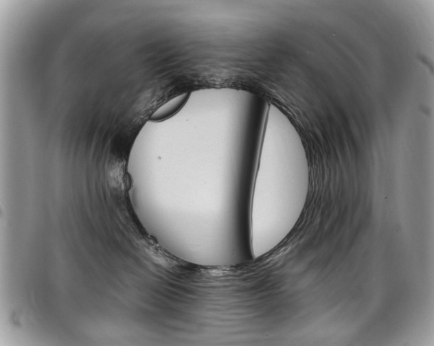 X0000097980286200803241049