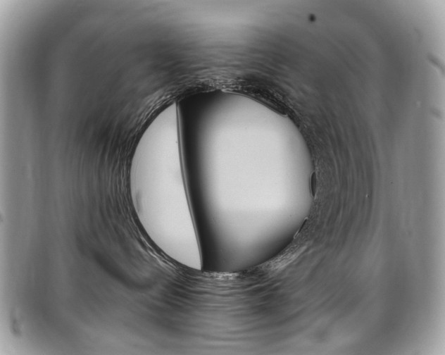 X0000097980288200803241049