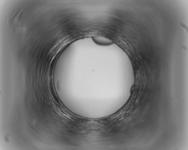 X0000097980290200803241048