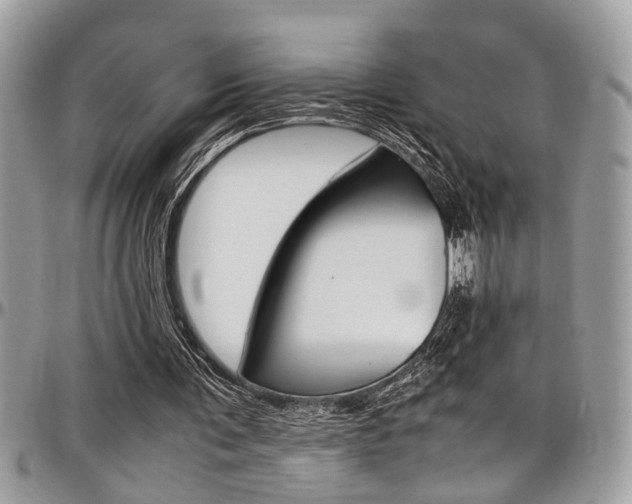 X0000097980291200803241048