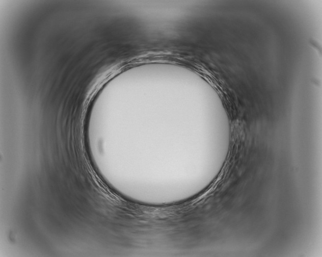 X0000097980293200803241048