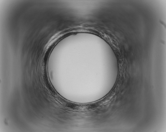 X0000097980295200803241048