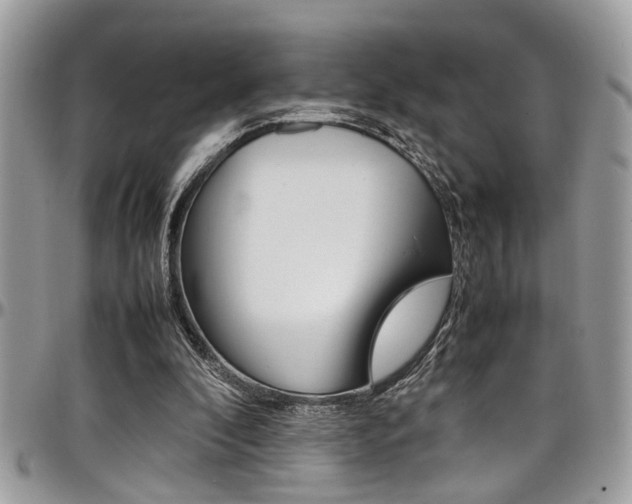 X0000097980296200803241048