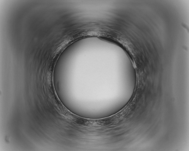 X0000097980297200803241048