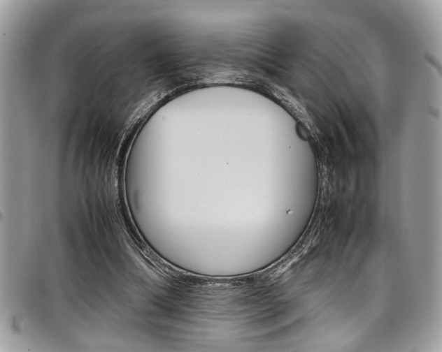 X0000097980298200803241048