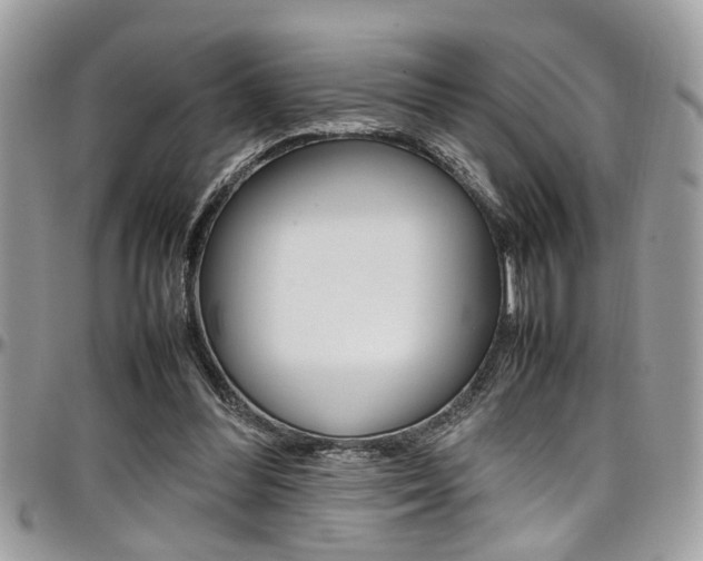 X0000097980300200803241048