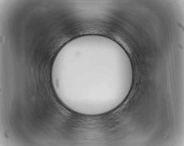 X0000097980305200803241048