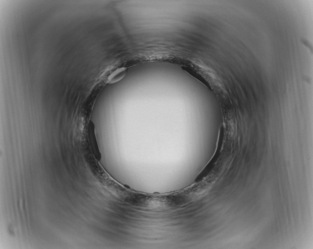 X0000097980308200803241048
