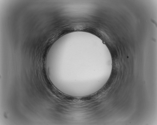 X0000097980311200803241048