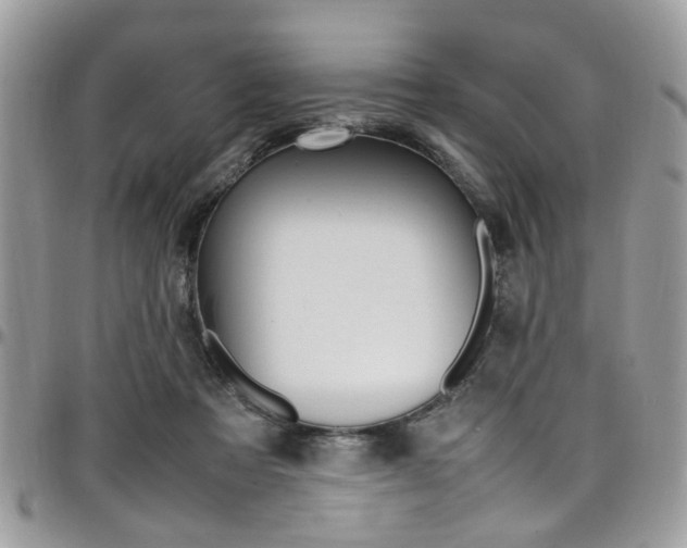 X0000097980313200803241048