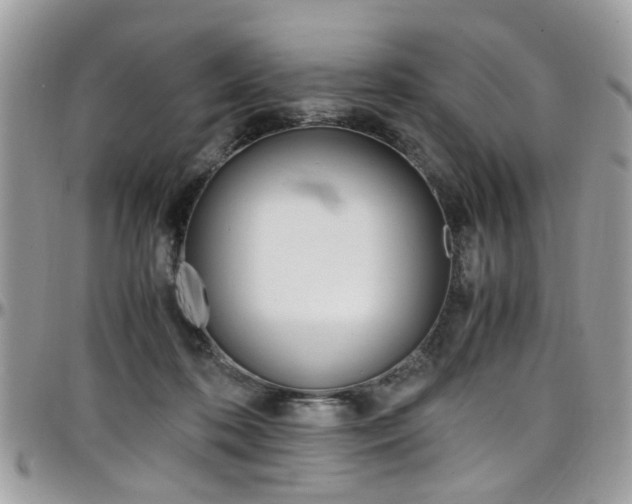 X0000097980316200803241048