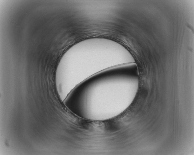 X0000097980317200803241048