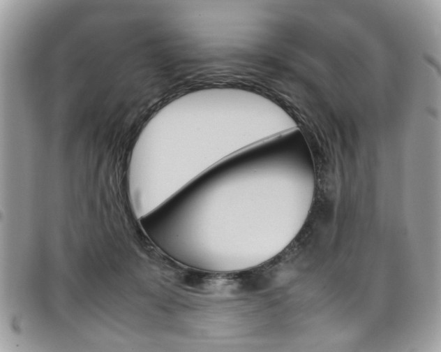 X0000097980319200803241047
