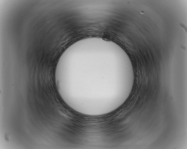 X0000097980320200803241047