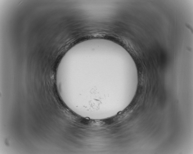 X0000097980321200803241047