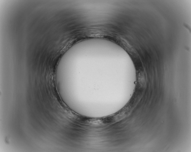 X0000097980322200803241047