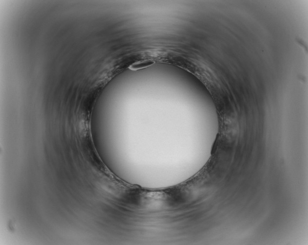 X0000097980324200803241047