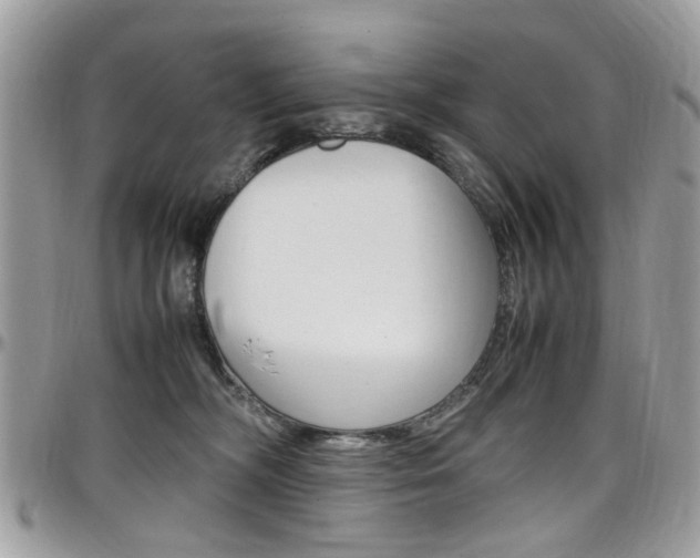 X0000097980326200803241047